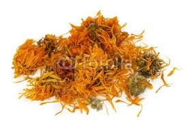 Calendula